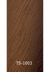 ts-1003
