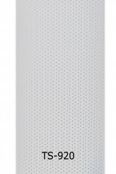 ts-920