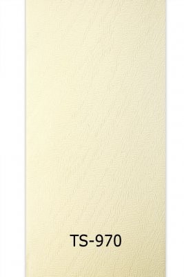ts-970